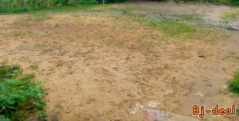 Main image of Terrain marécageux à vendre