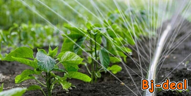 Main image of Accesseaoir en irrigation