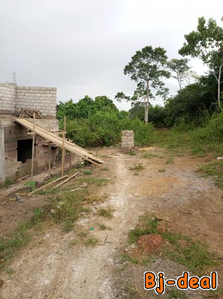 Main image of Un financier liquide 300m2 à Ekoko péage