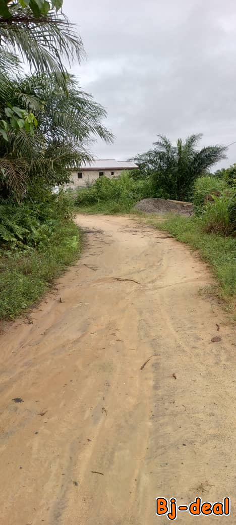 Image principale de Terrain titré sec bojongo derrière le lycée