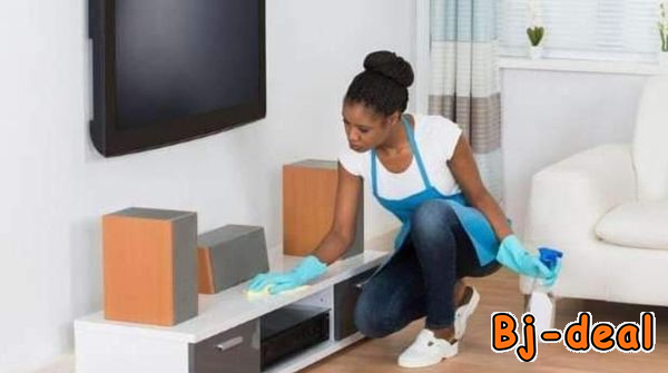 Image principale de Placement du personnel de maison Vous avez besoi