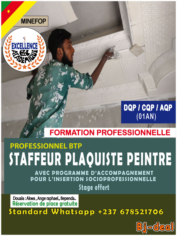 Main image of TECHNICIEN  STAFFEUR PLAQUISTE PEINTRE
