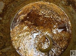 Main image of Okok sucré