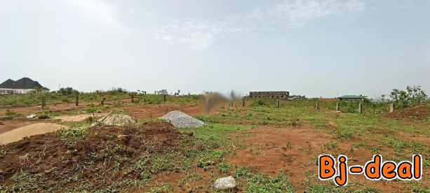 Main image of Terrain titré 1000m2 Tsinga Village Yaoundé