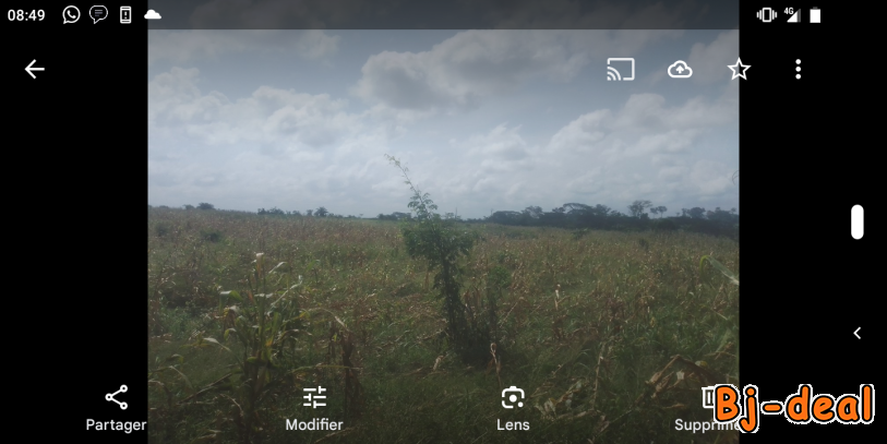 Main image of Vente de terrain non titré à Bertoua