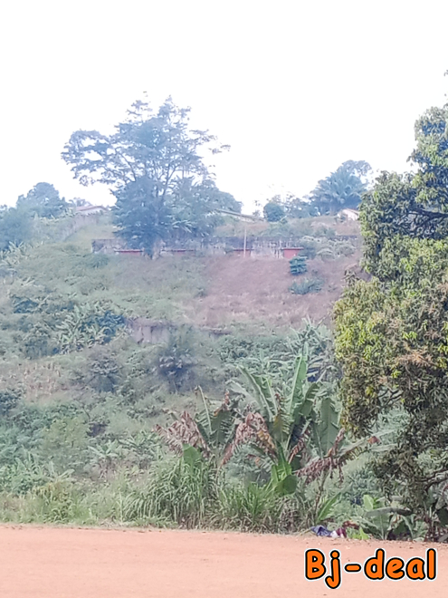 Main image of Juste pour femmes matures