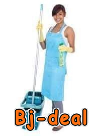 Image principale de recherche d une ménagère à temps partiel