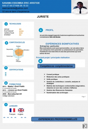 Main image of Conception CV PROFESSIONNELS ET LETTE DE MOTIVATION