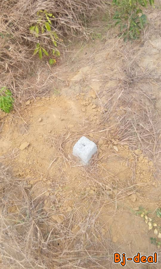 Main image of Terrain 2000m2 a vendre a Souza