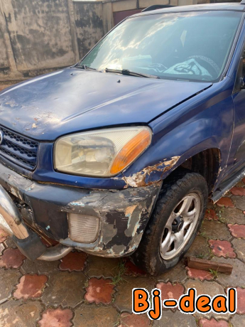 Image principale de Vente RAV4 bleu occasion 2004