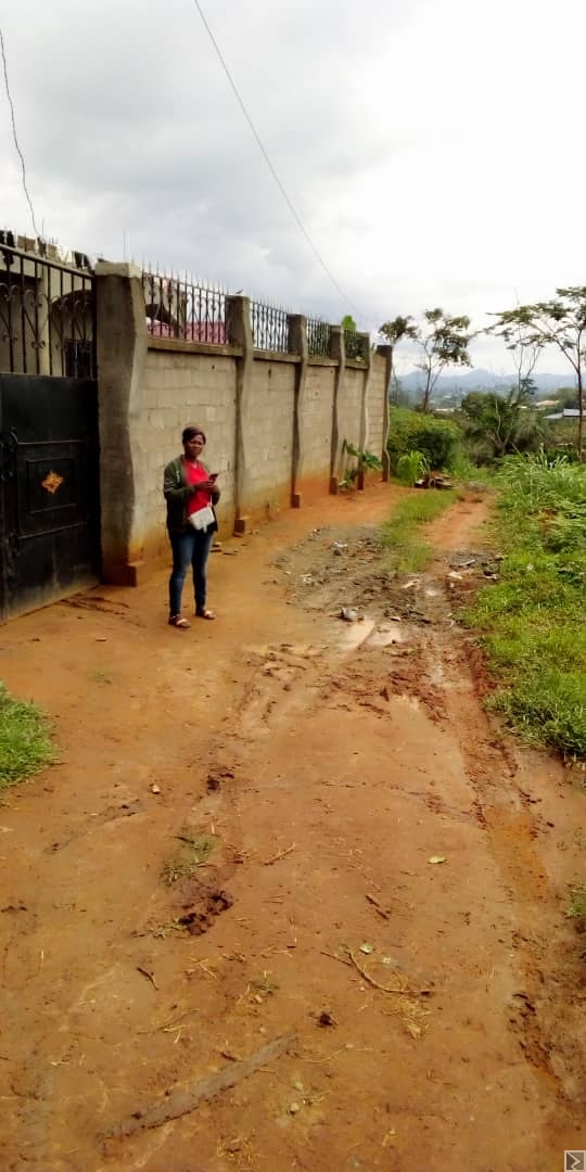 Main image of sassaye de terrain a Nkoabang