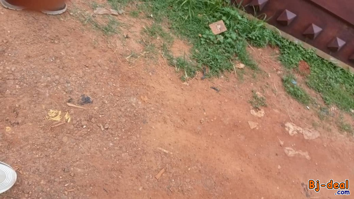 Main image of Terrain titré à vendre à Odza au carrefour Messamendongo