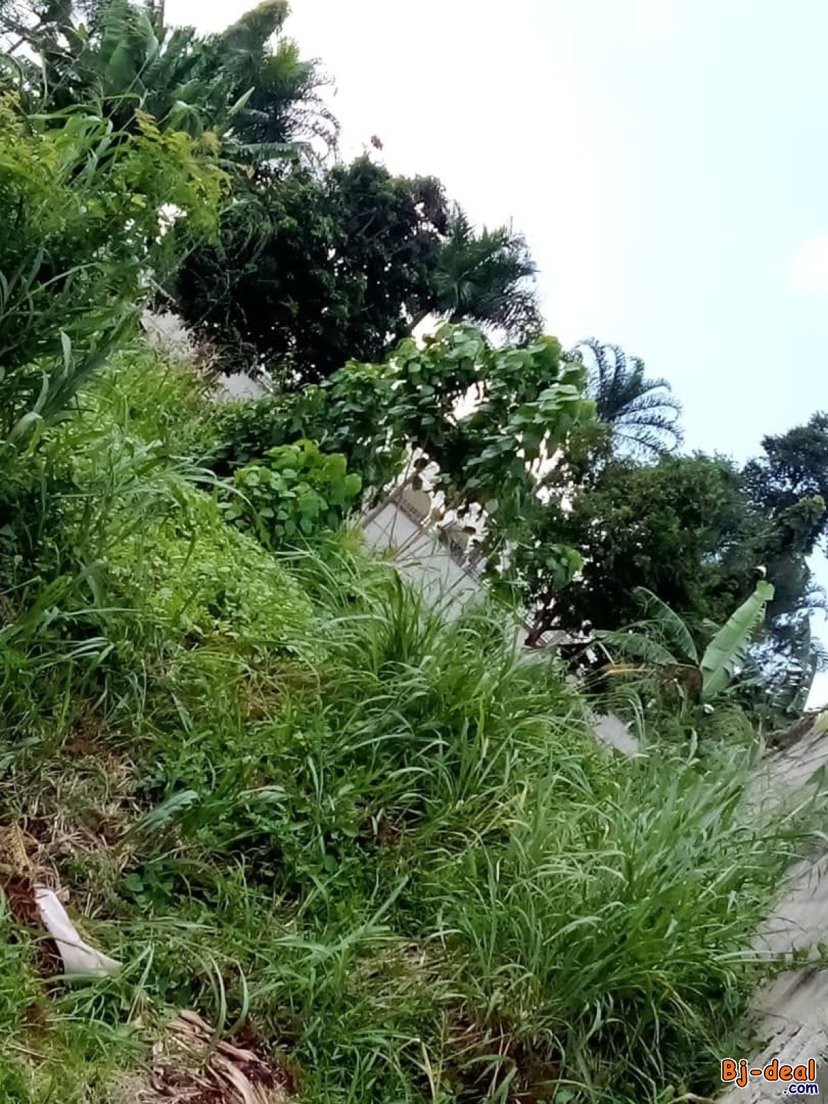 Main image of Terrain titré à Mvan Complexe Beac à vendre .