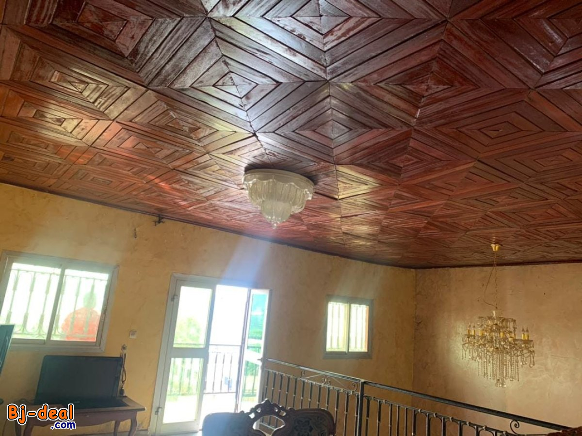 Main image of Vaste duplex à vendre sur la route de Mfou