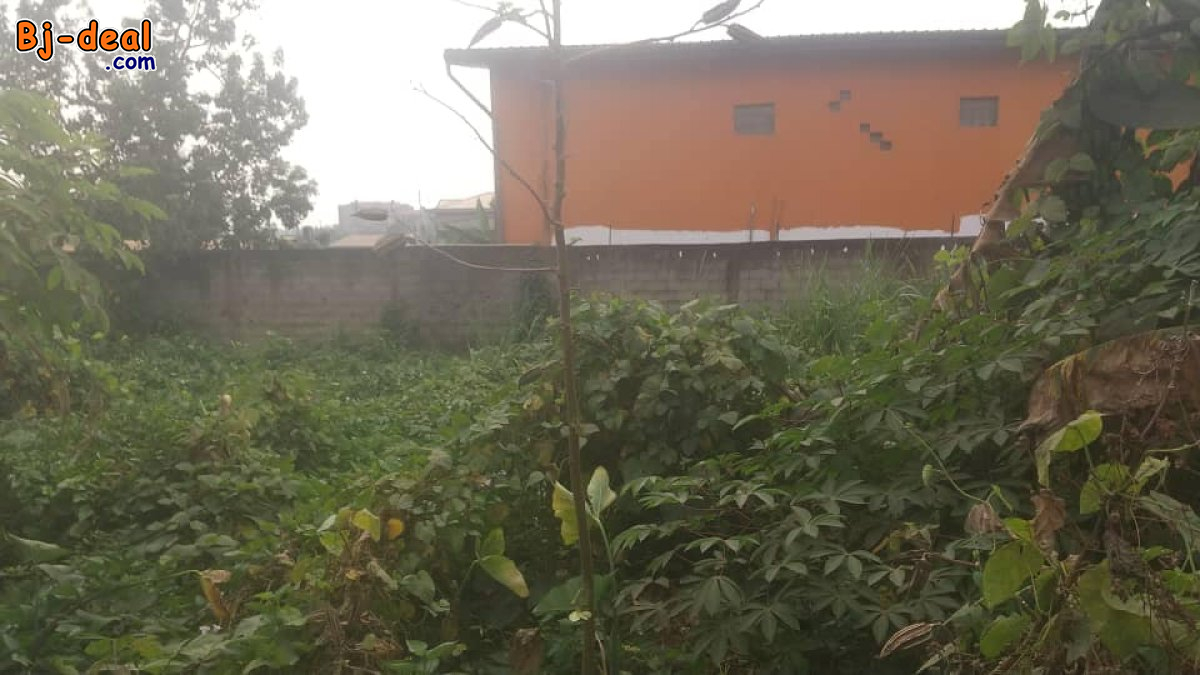 Main image of Terrain plat titré à vendre à Awae ewankan sur 314m2