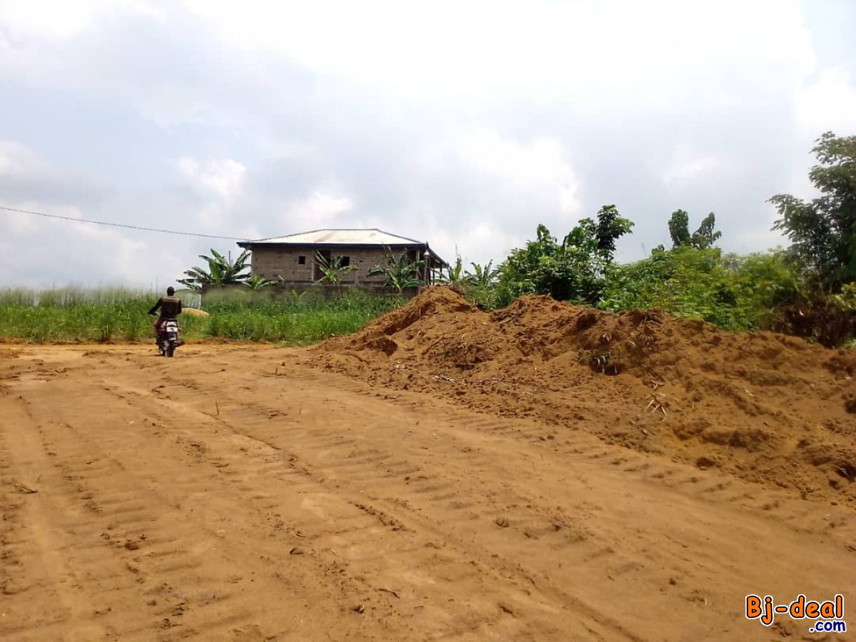 Image principale de Terrain titré a vendre logbessou goma