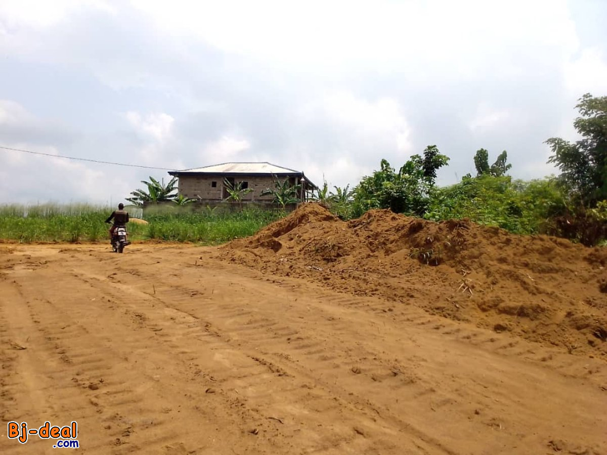 Image principale de Terrain à vendre NGOMA.. logbessou zone habité