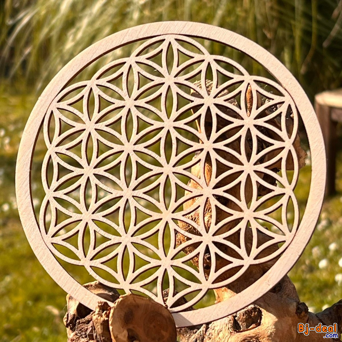 Main image of Plaques de Fleur de Vie au Cameroun