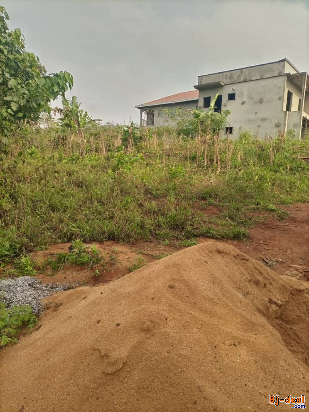 Main image of Terrain titré à vendre à Tsinga village