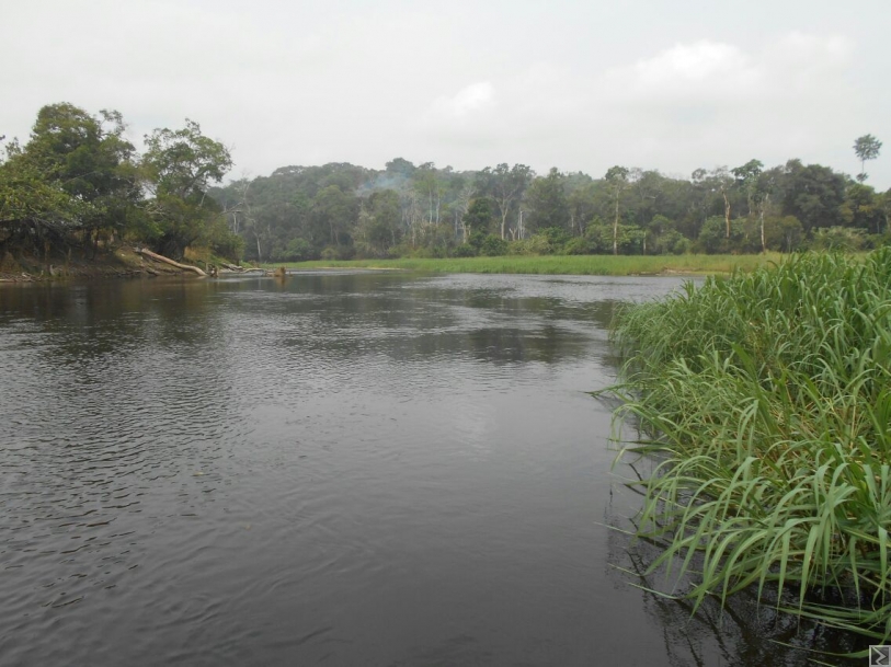 Image principale de 500 hectares de terrain agricole à  louer  Mengang