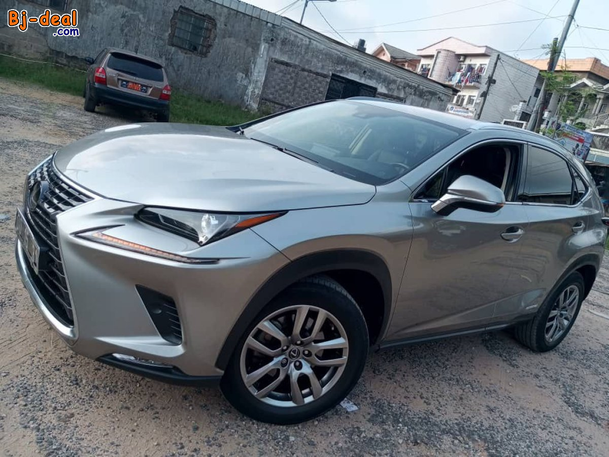 Image principale de Lexus NX 300h année 2020