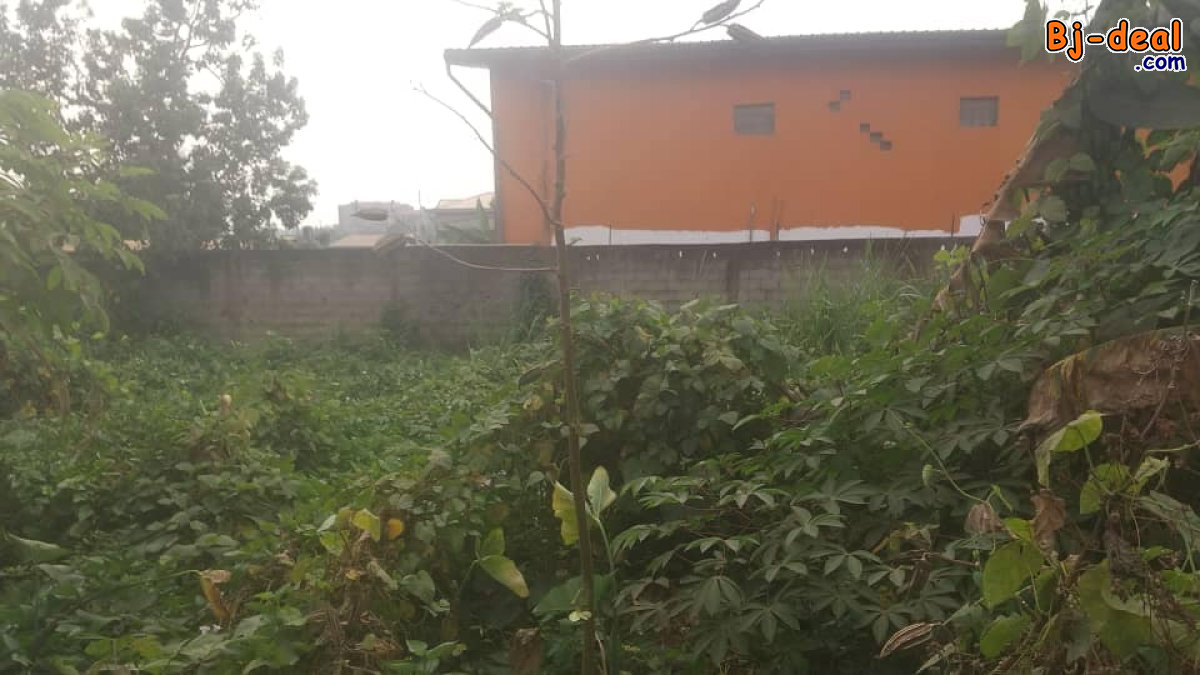 Main image of Terrain plat titré à vendre à Awae Ewankan carrefour M le maire