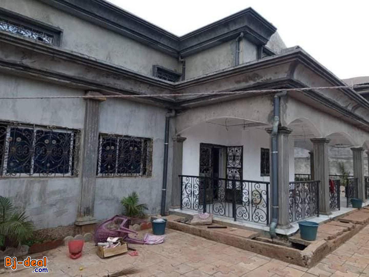 Main image of Duplex à vendre à Odza petit marché