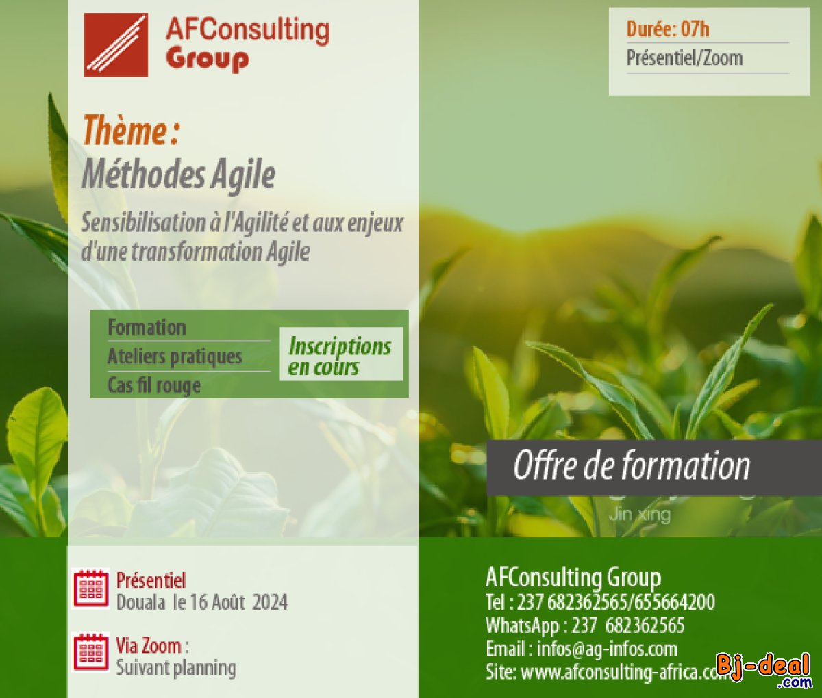 Main image of Sensibilisation à l&amp;#039;Agilité et aux enjeux d&amp;#039;une transformation Agile, Inscriptions en cours