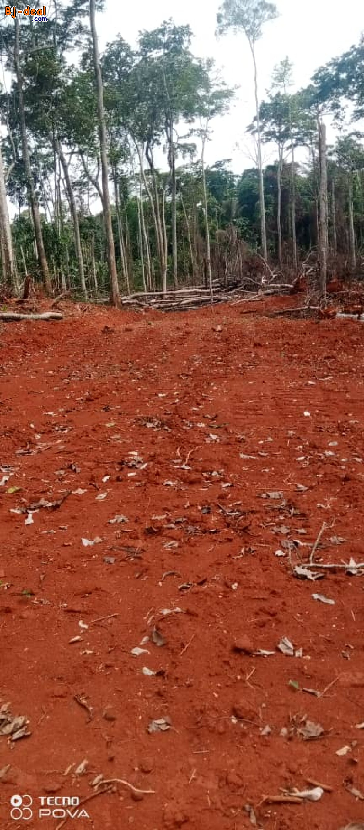 Main image of Terrain titre et loti à vendre