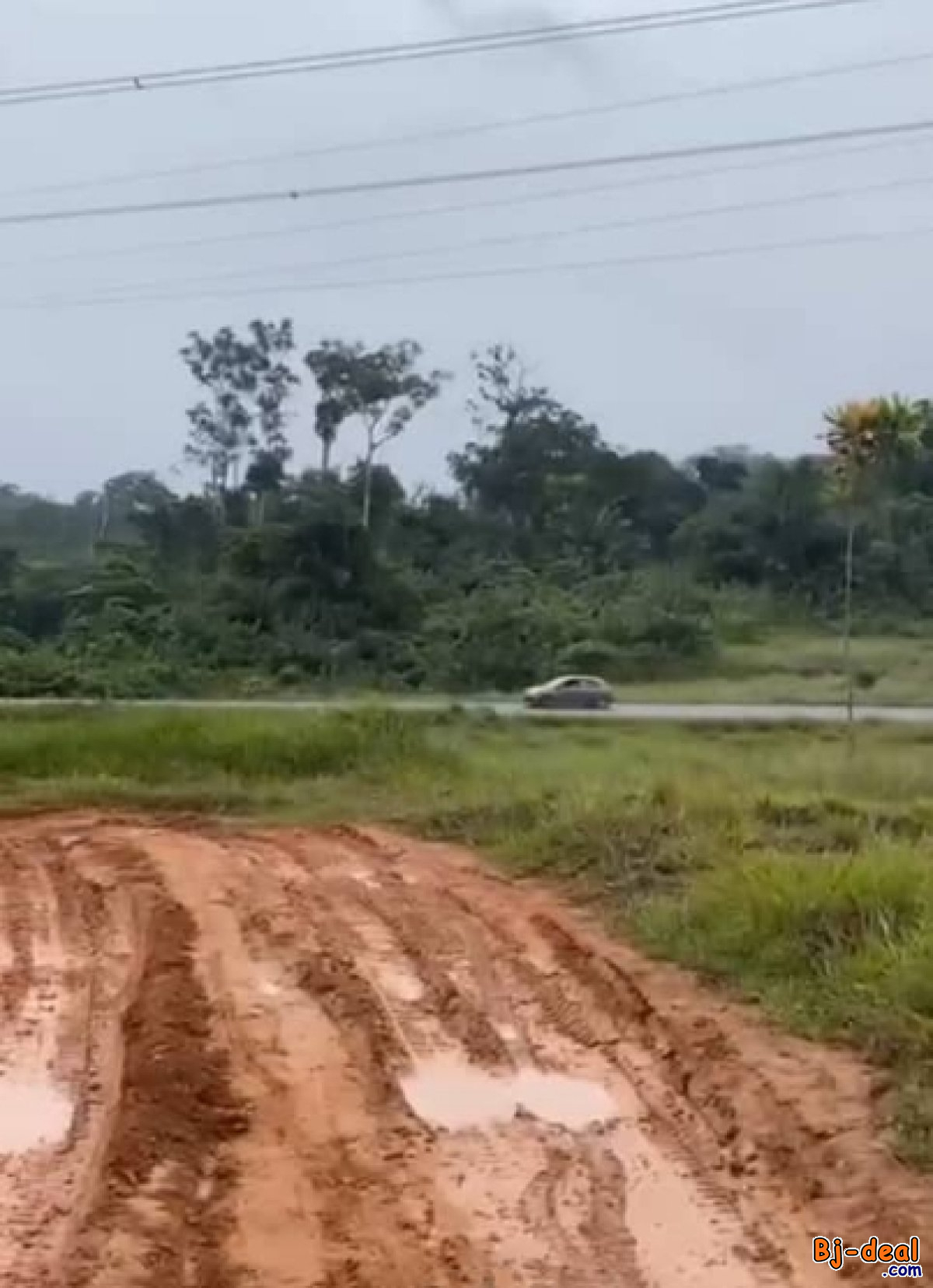 Main image of Terrain non-titré de 5ha à vendre à 6.000.000Fcfa