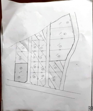 Main image of Terrain titré a vendre a Soa