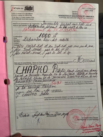 Main image of 1000 m2 de terrain en vente a Edea