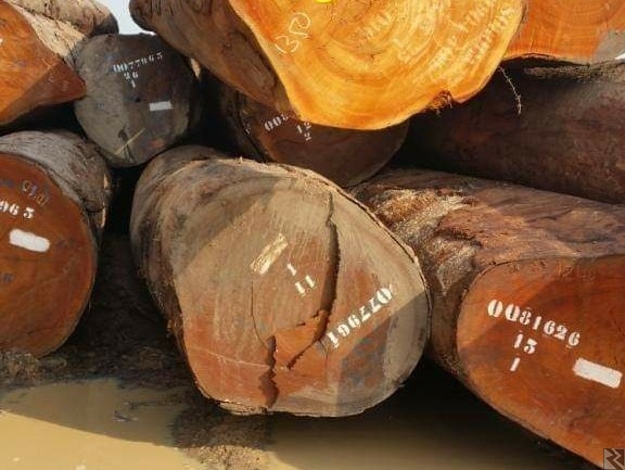 Image principale de APPEL D'OFFRE