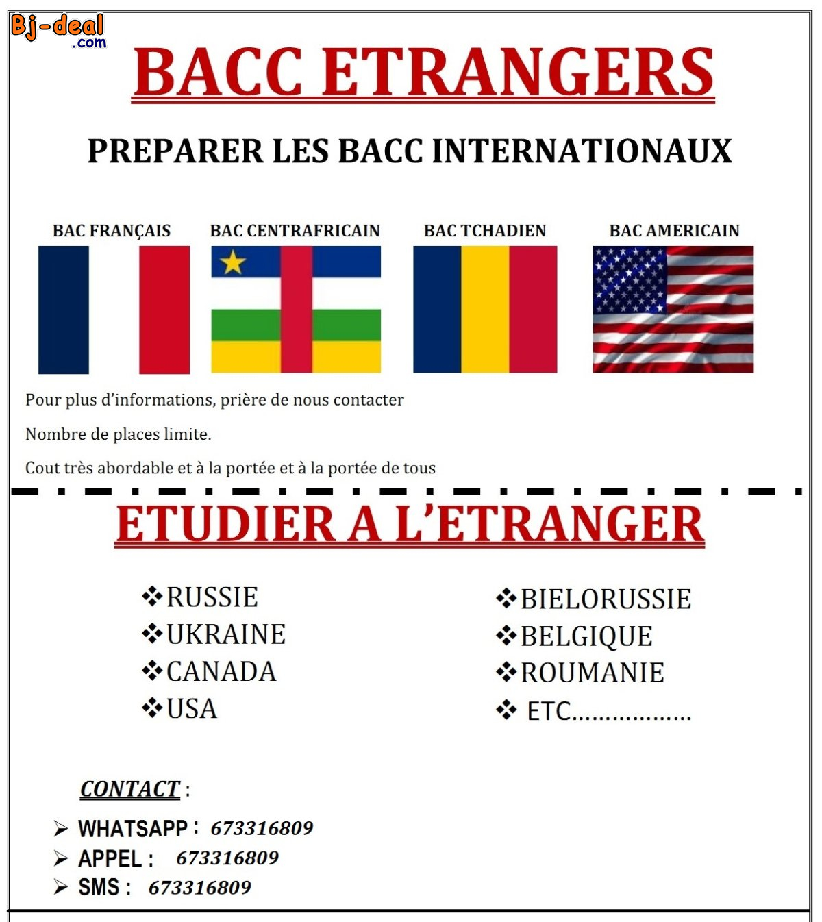 Main image of Baccalauréat centrafricain