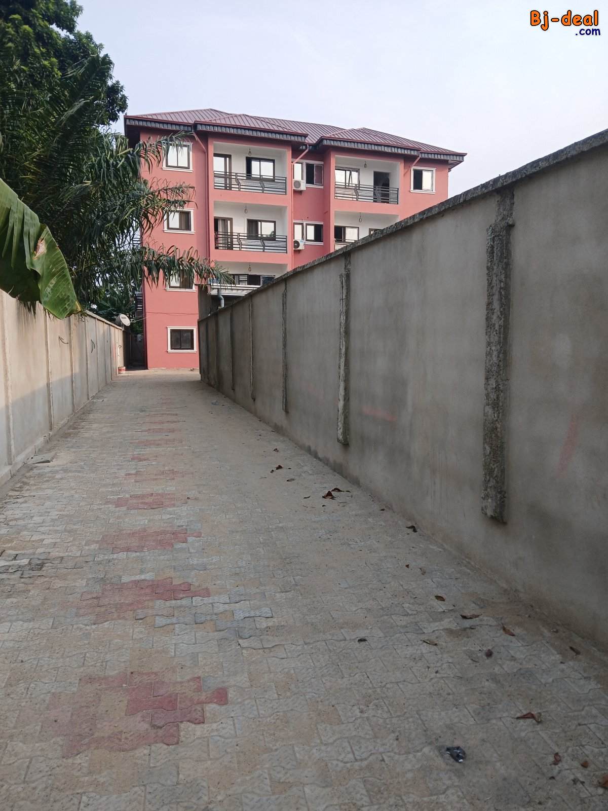 Main image of Appartement a louer a Bonaberi