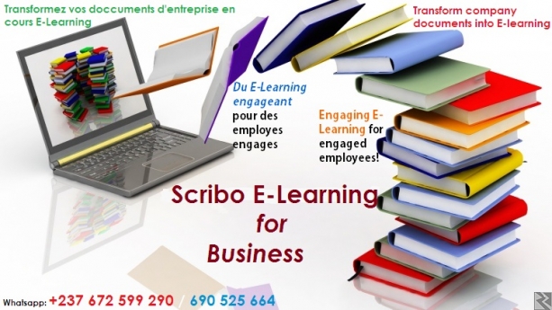Image principale de E-Learning for business