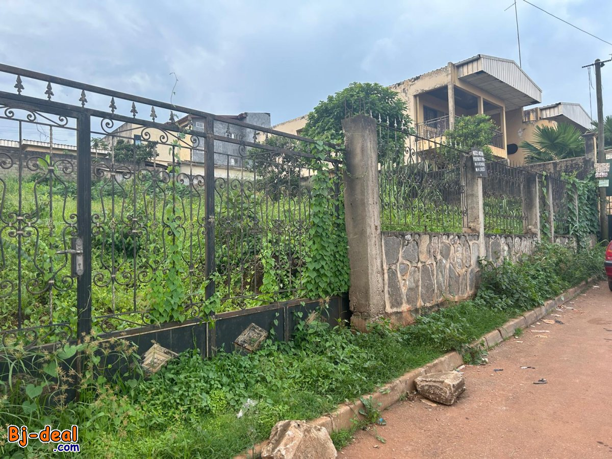 Main image of TERRAIN A VENDRE YAOUNDE-NGOUSSO