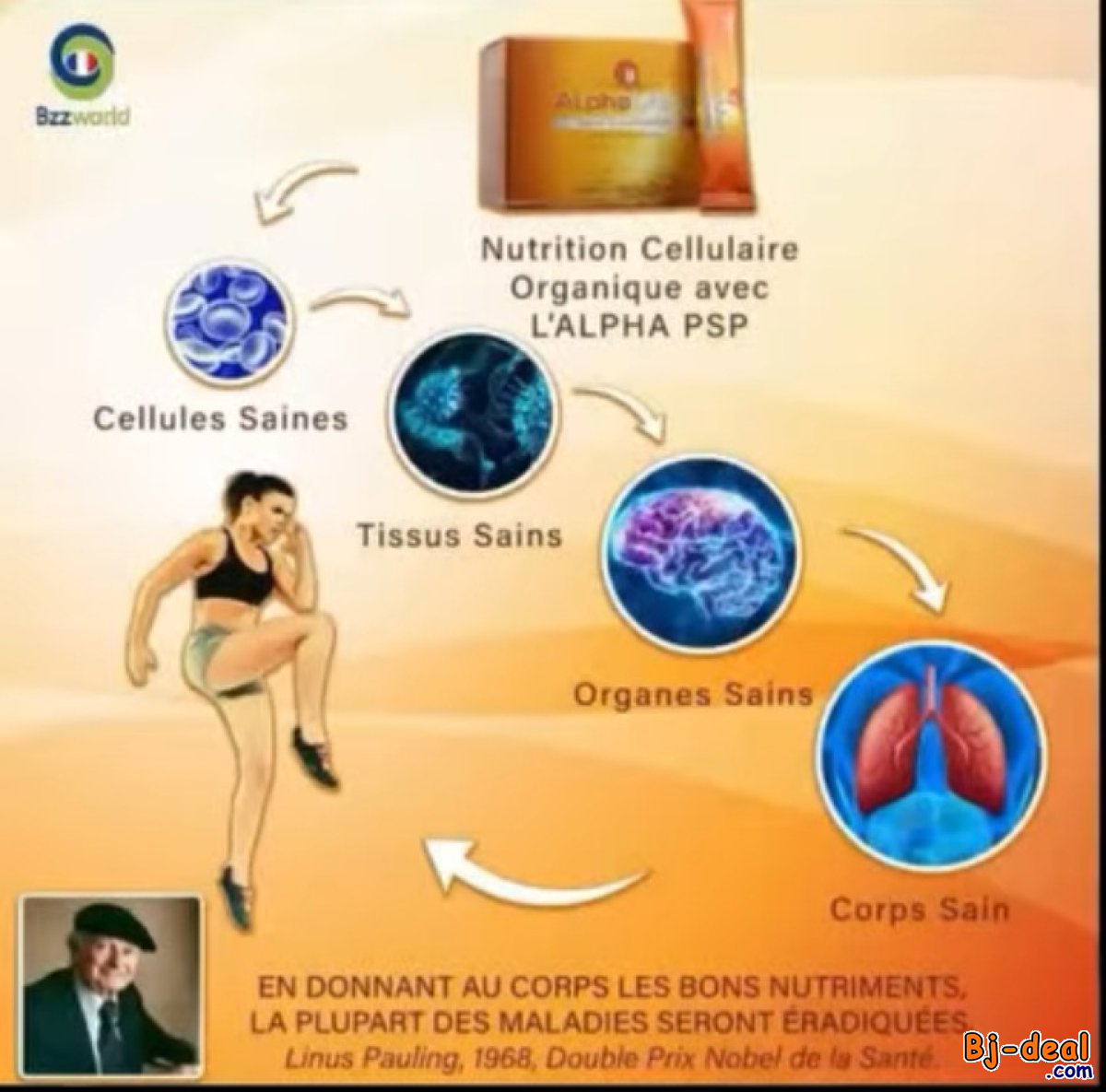 Image principale de ALPHAMETA NOURRITURE POUR LA CELLULE