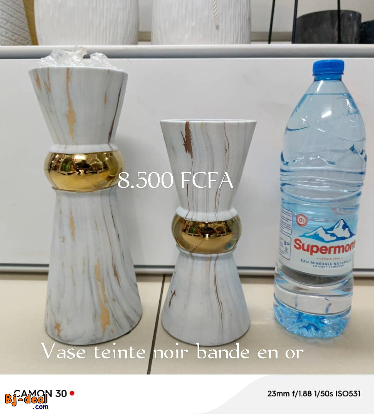 Main image of Pots de fleurs et vases