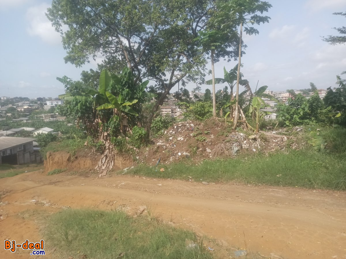 Main image of 4000 m² Terrain titré mutation totale à vendre à Yassa lieu-dit Cité lumière