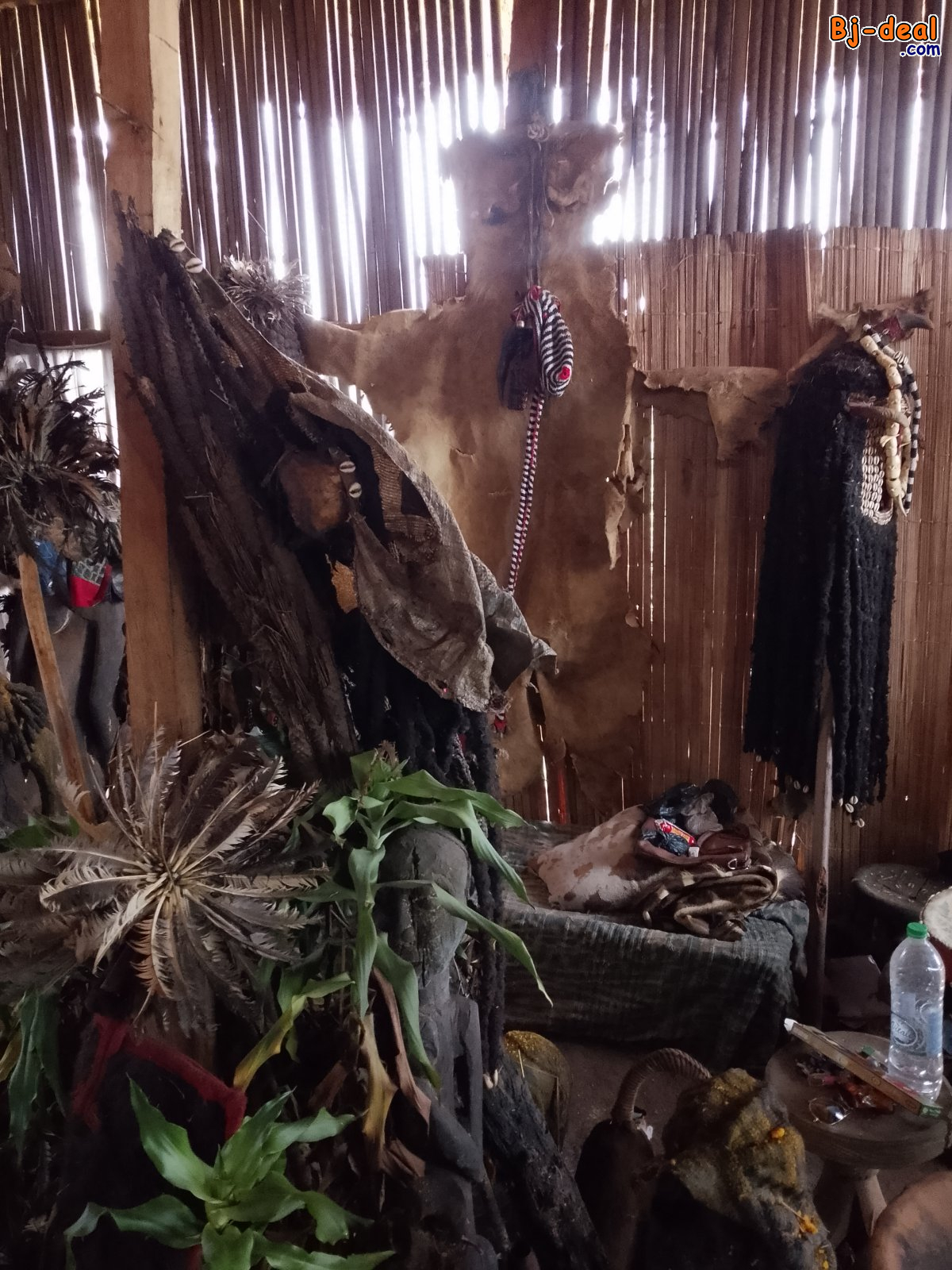 Main image of medecine traditionelle et spirituel