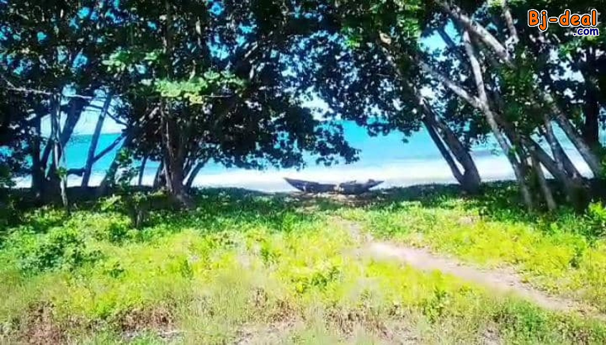 Main image of TERRAIN A VENDRE A KRIBI AVEC VUE EXCEPTIONNELLE SUR LA MER