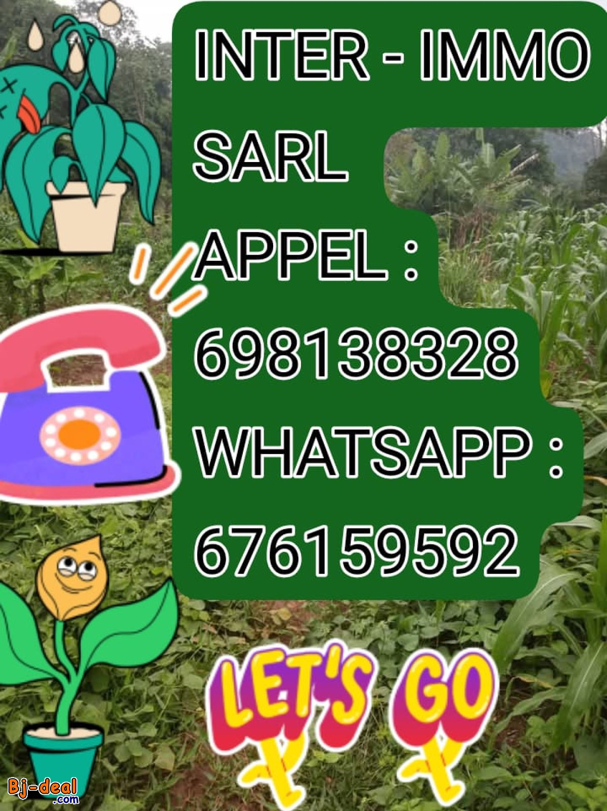 Main image of Terrain agricole disponible