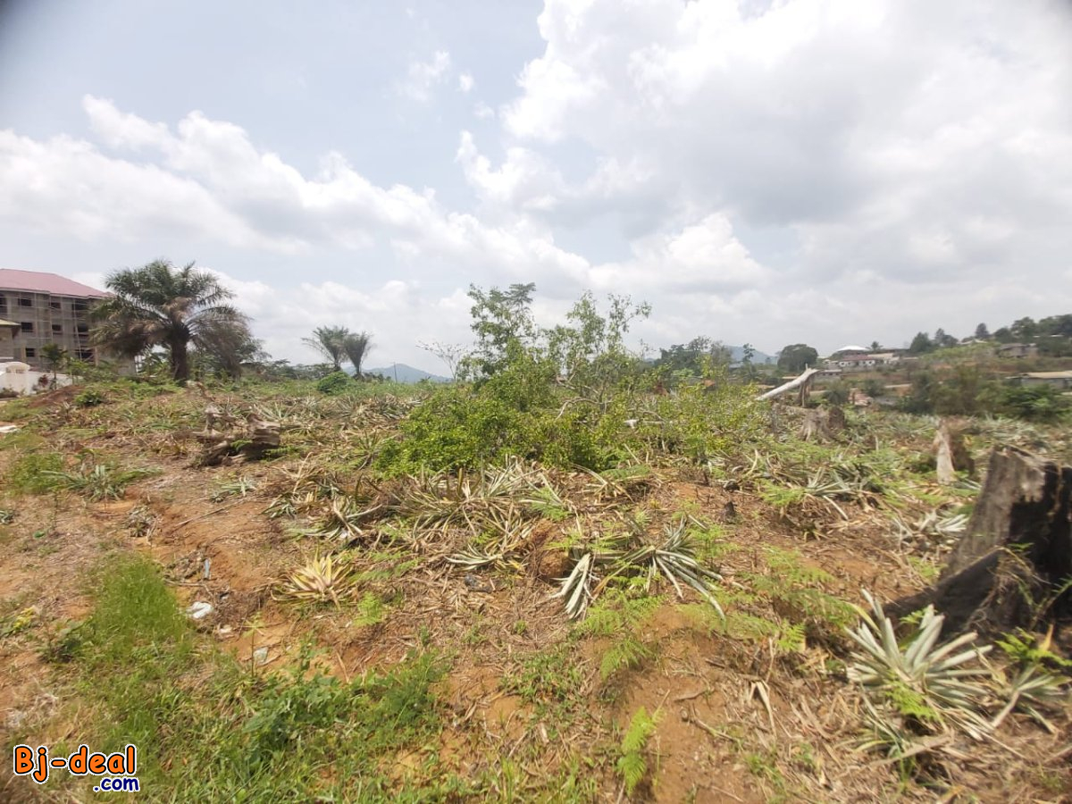 Main image of 04 Lots de Terrains Titré de  500m² à vendre à Mbankomo en Bordure de Route.