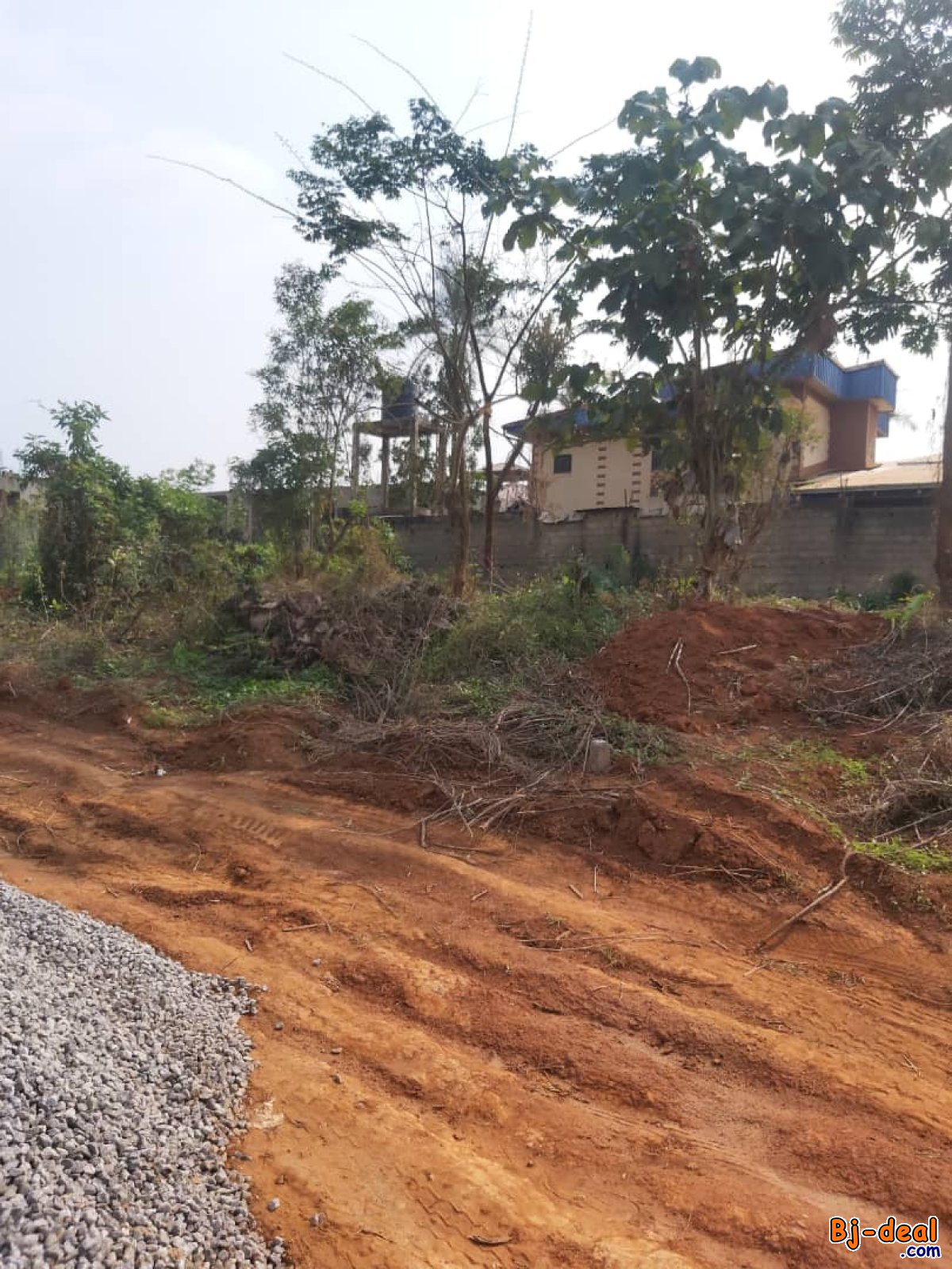 Main image of Opportunité de Terrain Plat Titré de 500m² à Simbock