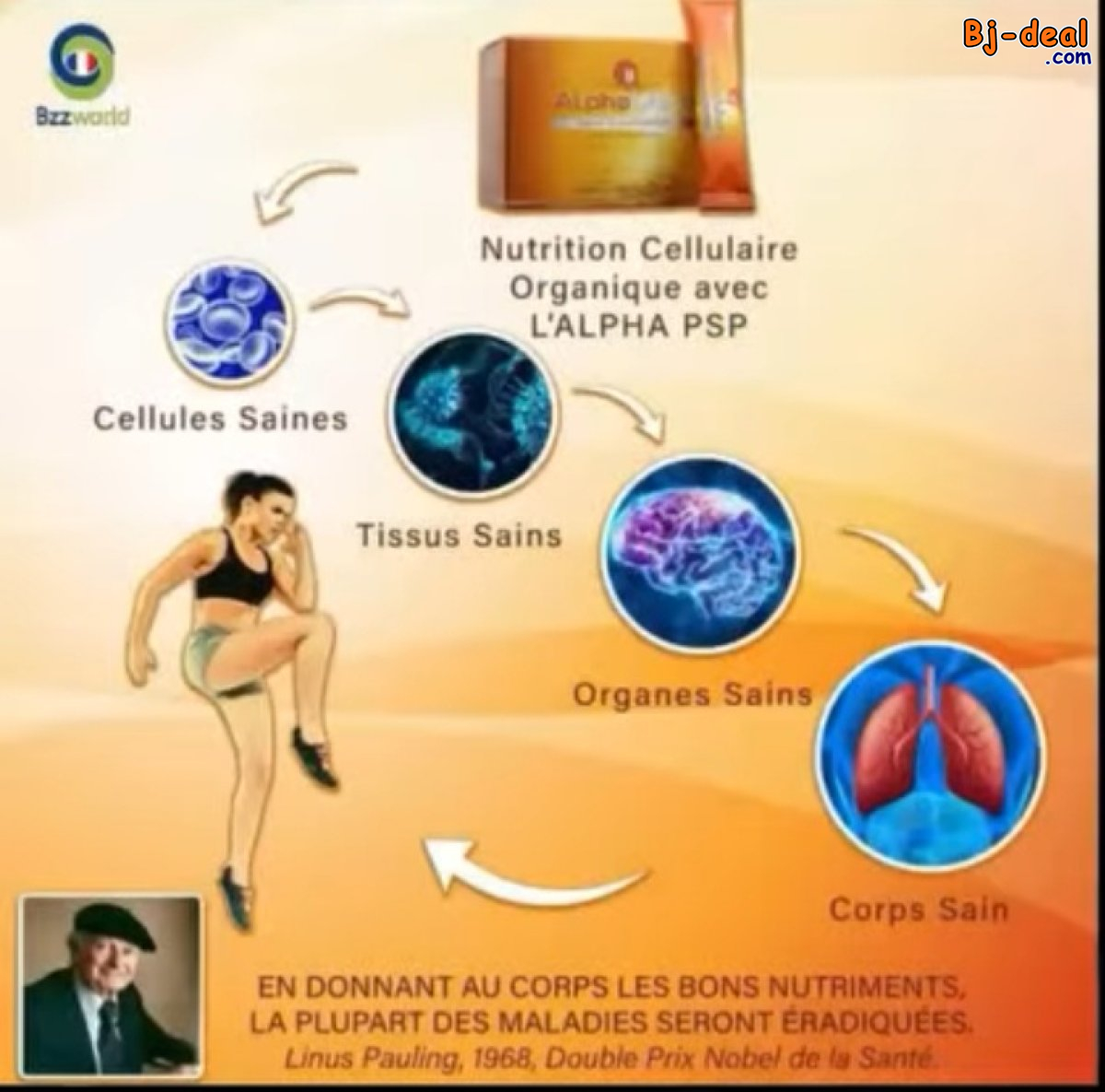 Image principale de ALPHAMETA NOURRITURE POUR LA CELLULE