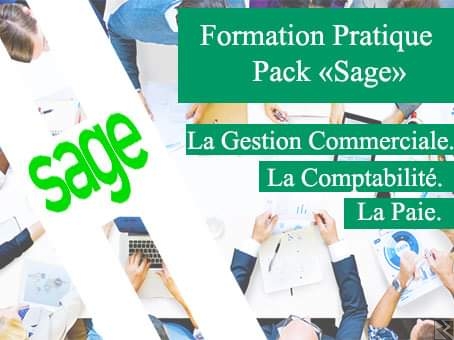 Main image of Formation Pratique Sage  Saari et Attestation