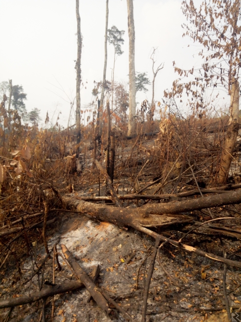 Main image of Terrains titrés