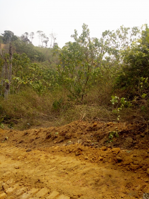 Main image of Terrains titrés