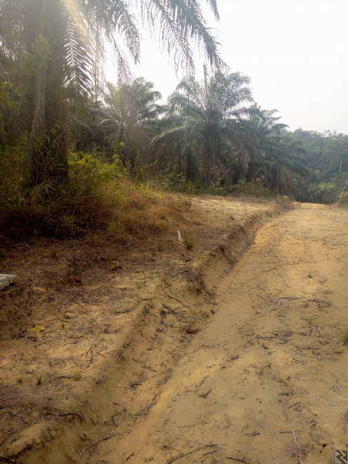 Image principale de Terrains titrés